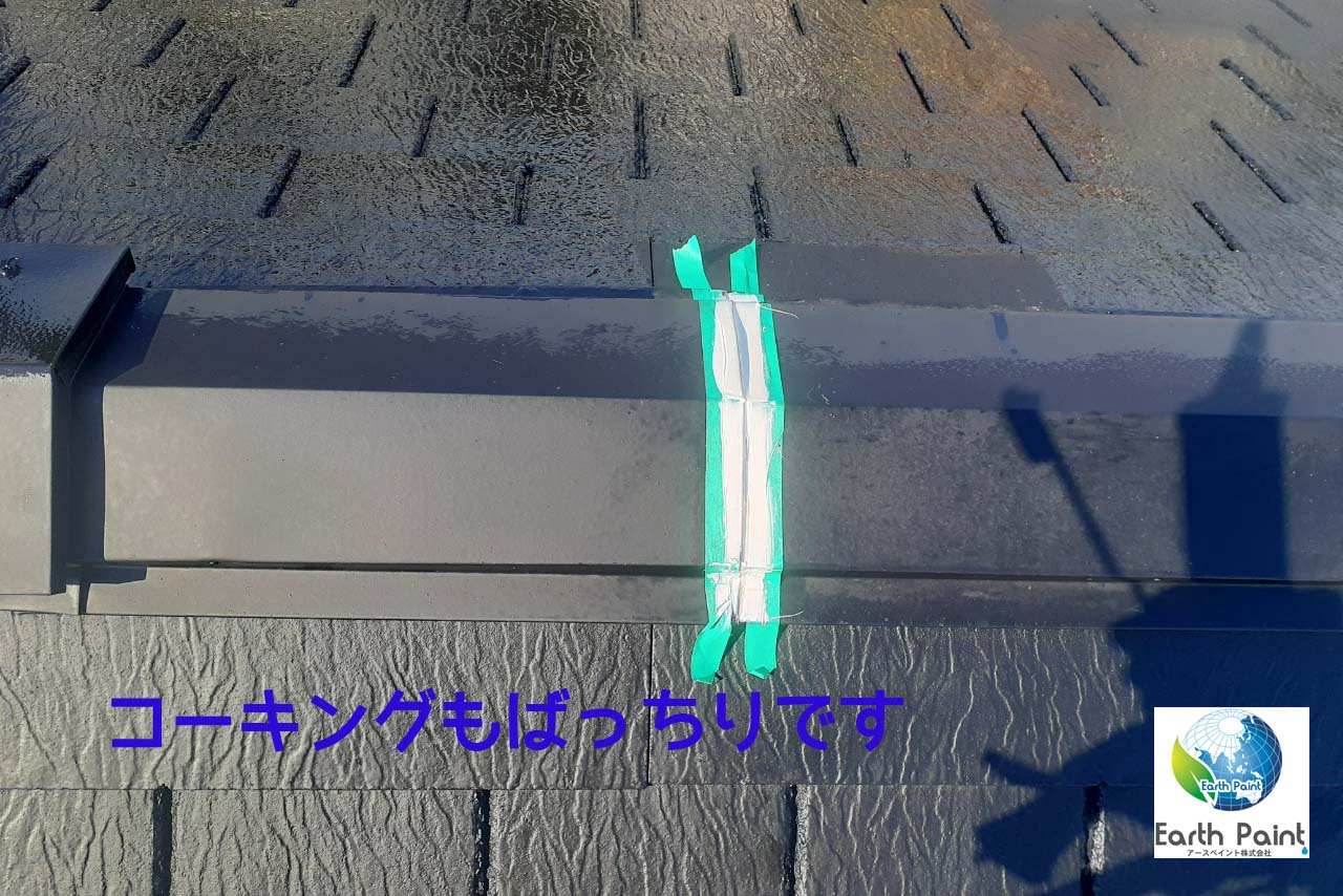南様記事用３.jpg