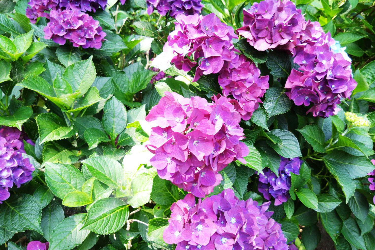 88601_0_edited.jpg