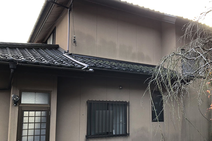 S__441761800_0記事用.jpg