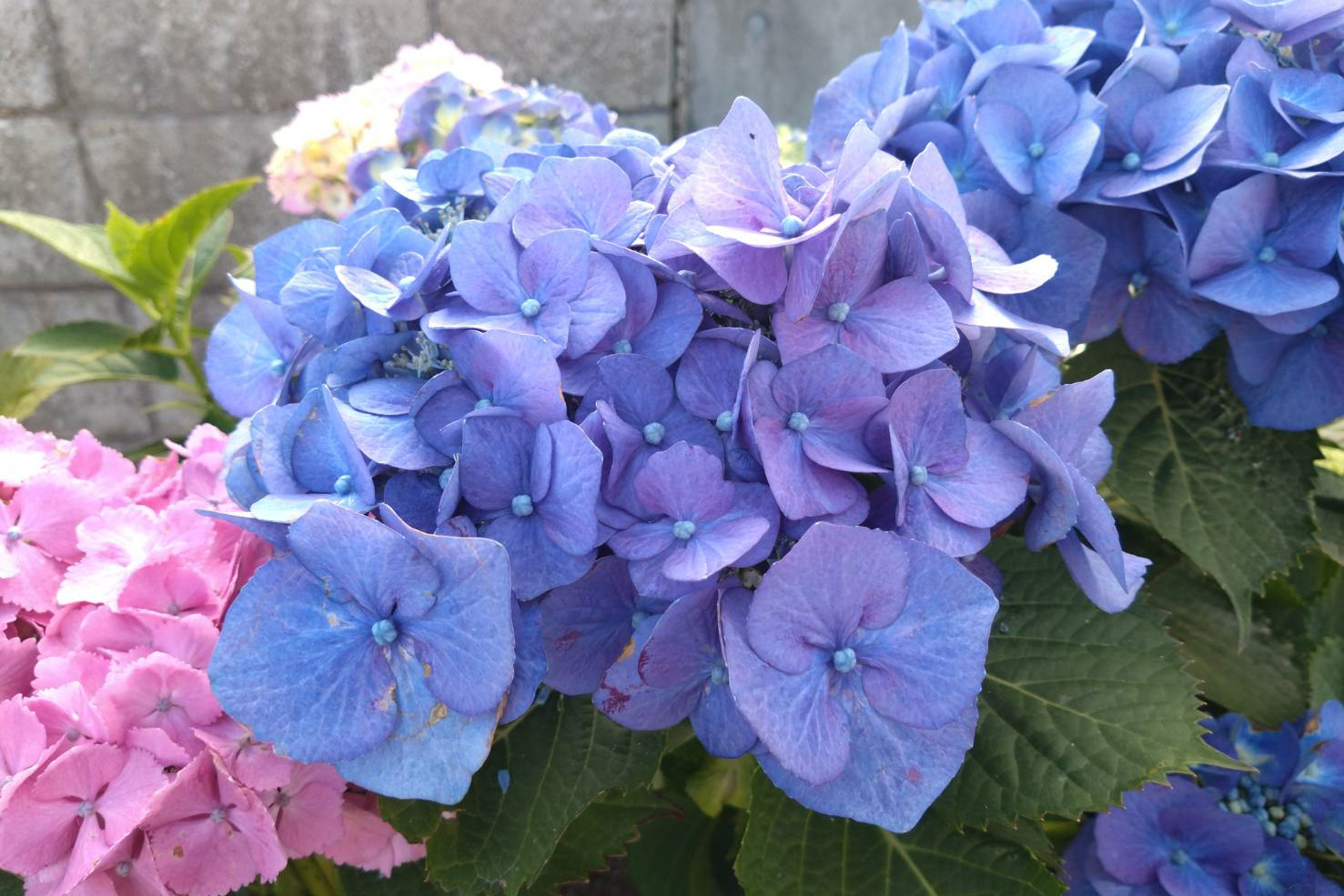132070_edited.jpg