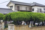 外壁塗装 茨城県鹿嶋市 サイディング壁塗装工事(施工前)ND-250