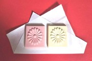 広報部 さっちんblog 『いきいき茨城ゆめ国体』