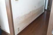 外壁塗装　稲敷市　サイディングボード壁塗装（施工前）