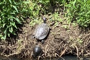 お散歩コースにて・・・！