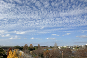 うろこ雲?いわし雲?