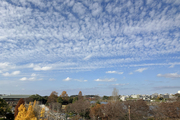 うろこ雲？いわし雲？