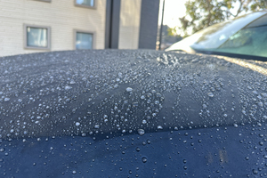 今朝は冷え込んで車の水滴が凍っていました！