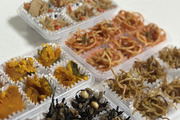 手作り冷食お弁当カップ