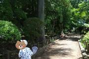 百樹園