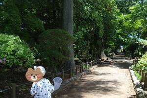 百樹園
