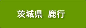 完工施工事例 鹿行